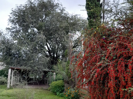 Alquiler temporario de cabana em Cosquin