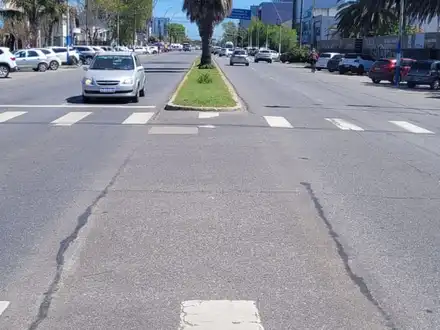 Alquiler temporario de casa en Mar del plata