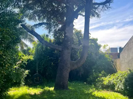 Alquiler temporario de casa en Mar del plata