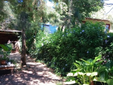 Alquiler temporario de caba&ntilde;a en Mar del plata bosque peralta ramos