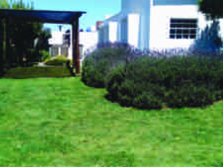Alquiler temporario de casa en Mar del sur