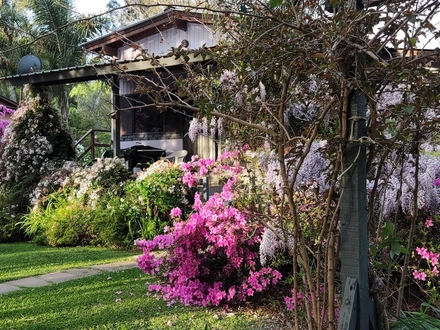 Alquiler temporario de cabana em Delta de tigre