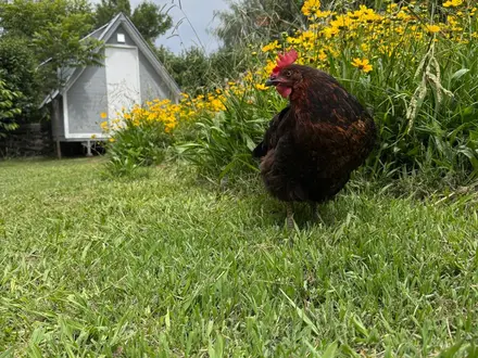 Alquiler temporario de casa en Villa parque s&iacute;quiman