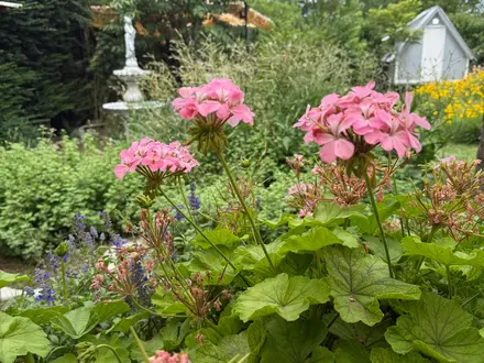 Alquiler temporario de casa en Villa parque s&iacute;quiman