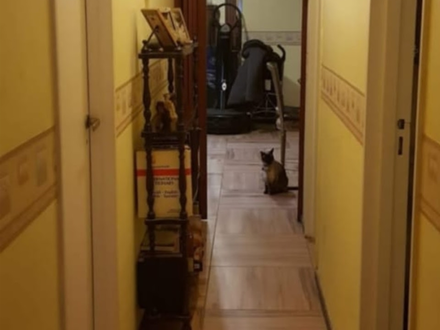 Alquiler temporario de departamento en Belgrano.caba