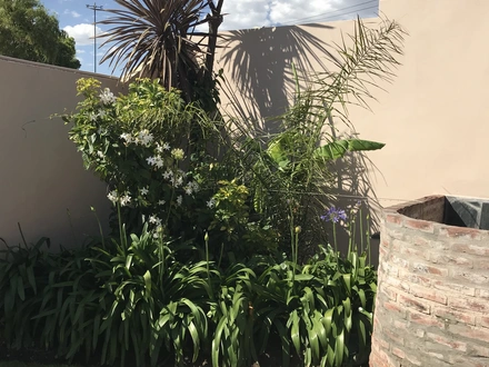 Alquiler temporario de apartamento em Necochea
