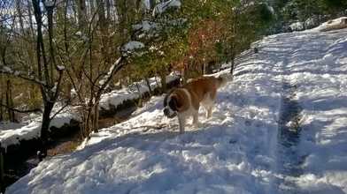 Alquiler temporario de apart en Bariloche