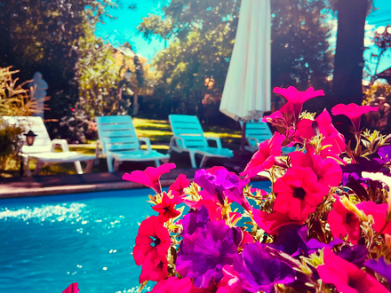 Arriendo temporario de caba&ntilde;a en Villarrica