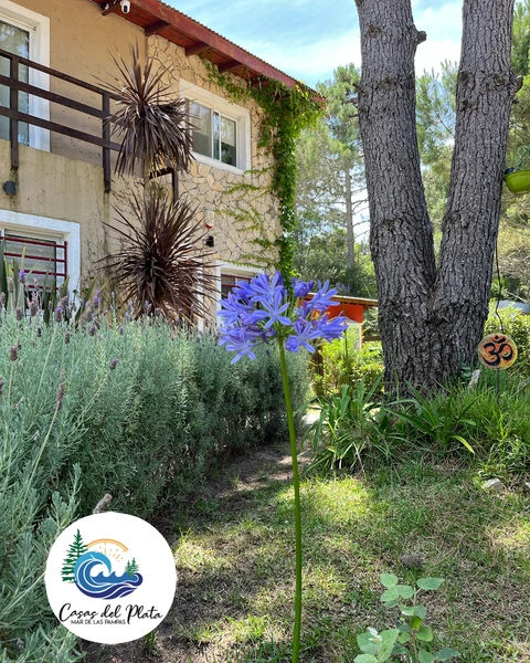 Alquiler temporario de casa em Villa gesell