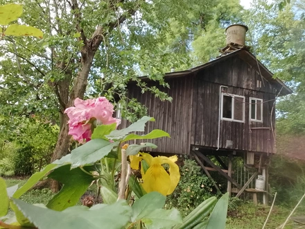 Alquiler temporario de cabana em Delta de tigre