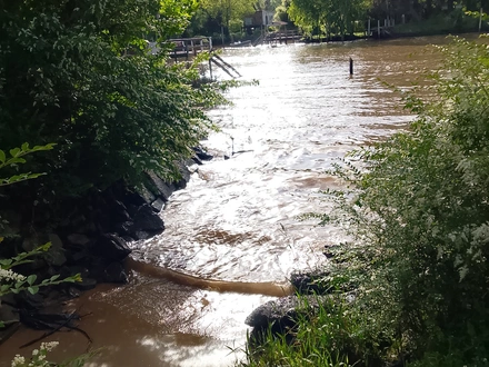 Alquiler temporario de cabana em Delta de tigre