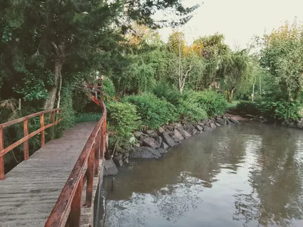 Alquiler temporario de cabana em Delta de tigre
