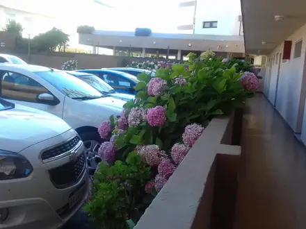 Alquiler temporario de departamento en Villa gesell