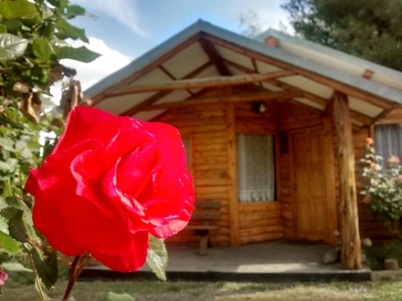 Alquiler temporario de caba&ntilde;a en Esquel