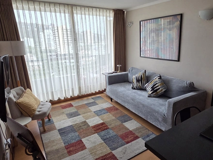 Arriendo temporario de departamento en Vi&ntilde;a del mar