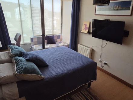 Arriendo temporario de departamento en Vi&ntilde;a del mar