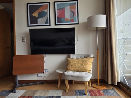 Arriendo temporario de departamento en Vi&ntilde;a del mar