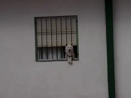 Alquiler temporario de departamento en Mar de aj&oacute;