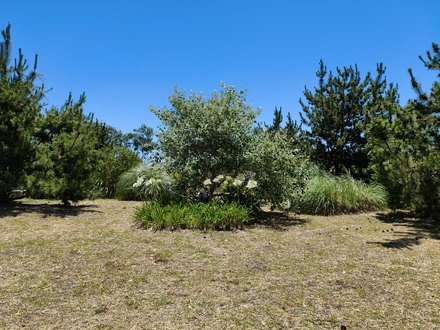 Alquiler temporario de caba&ntilde;a en Gral pueyrred&oacute;n