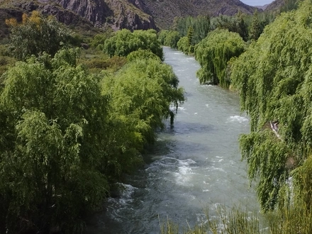 Alquiler temporario de casa em San rafael