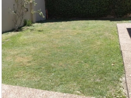 Alquiler temporario de casa em Necochea