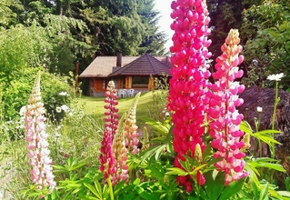 Alquiler temporario de cabana em La villa