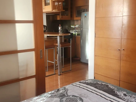 Arriendo temporario de departamento en Providencia