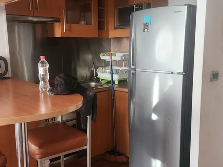 Arriendo temporario de departamento en Providencia