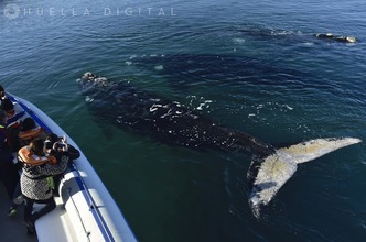 Alquiler temporario de casa en Puerto madryn