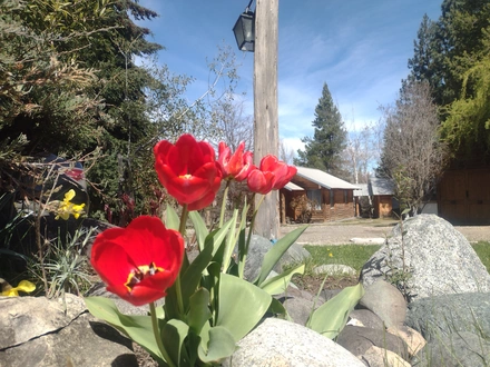 Alquiler temporario de caba&ntilde;a en Esquel