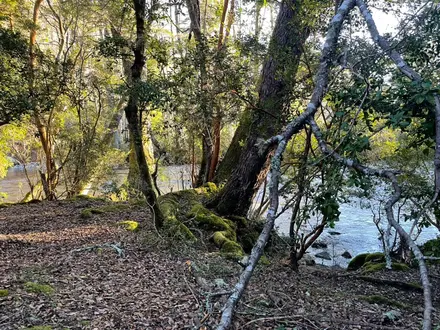 Arriendo temporario de cabana em Cautín