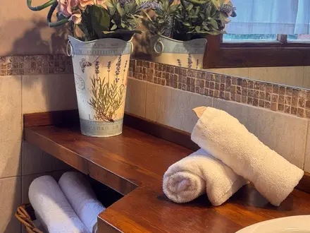 Alquiler temporario de cabana em San carlos de bariloche