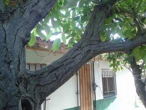 Alquiler temporario de casa en Quequen