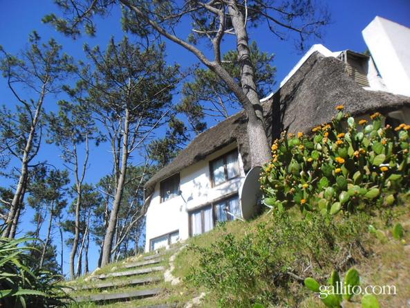 Alquiler temporario de casa en Punta ballena