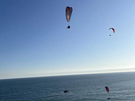 Arriendo temporario de departamento en Vi&ntilde;a  del mar  -  re&ntilde;aca