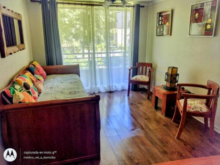 Arriendo temporario de apartamento em Pucón