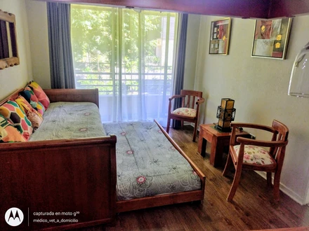 Arriendo temporario de apartamento em Pucón