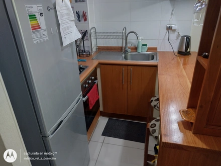 Arriendo temporario de apartamento em Pucón