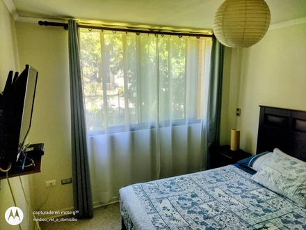 Arriendo temporario de apartamento em Pucón
