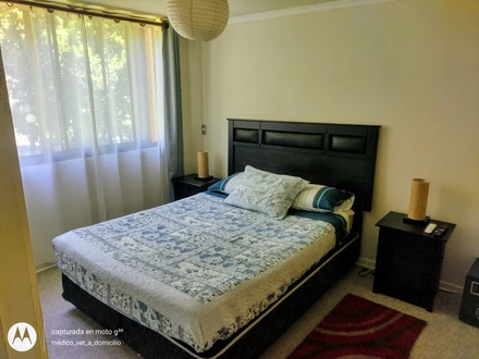 Arriendo temporario de apartamento em Pucón