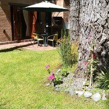 Alquiler temporario de cabaña en Costa del este