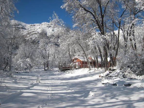 Arriendo temporario de cabaña en Pinto