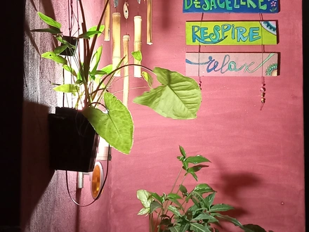 Alquiler temporario de apartamento em Puerto iguazú