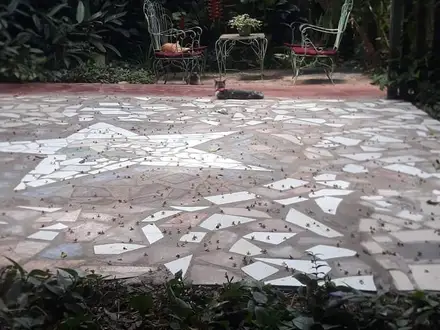 Alquiler temporario de apartamento em Puerto iguazú