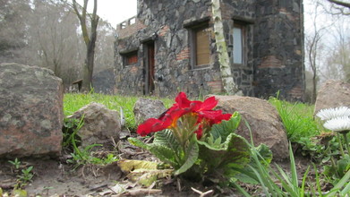 Alquiler temporario de cabaña en Tandil