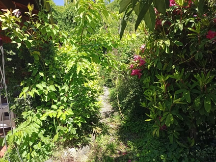 Arriendo temporario de cabana em Pucon