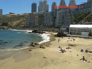 Arriendo temporario de departamento en Vi&ntilde;a del mar