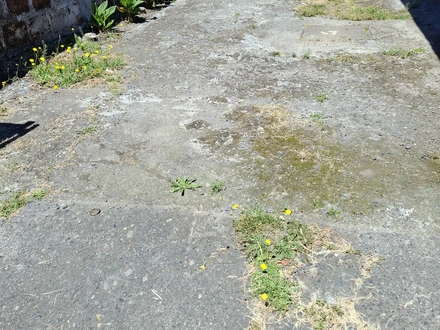 Arriendo temporario de casa en Villarrica