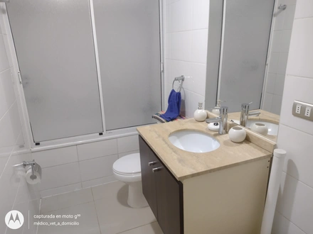 Arriendo temporario de apartamento em Pucón