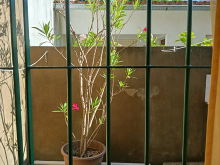 Alquiler temporario de departamento en Lucila del mar